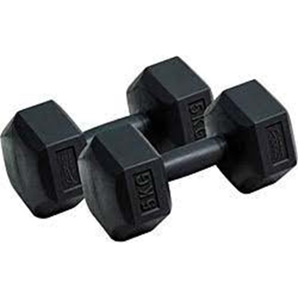 ALTİS | PLASTİK KÖŞELİ DAMBIL SET 2x5 KG DS-80