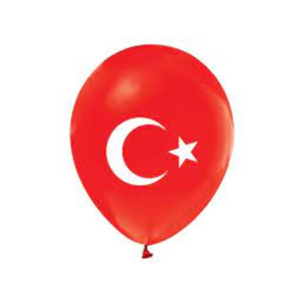 PARTYMARTY | AYYILDIZ BASKILI BALON 100 LÜ