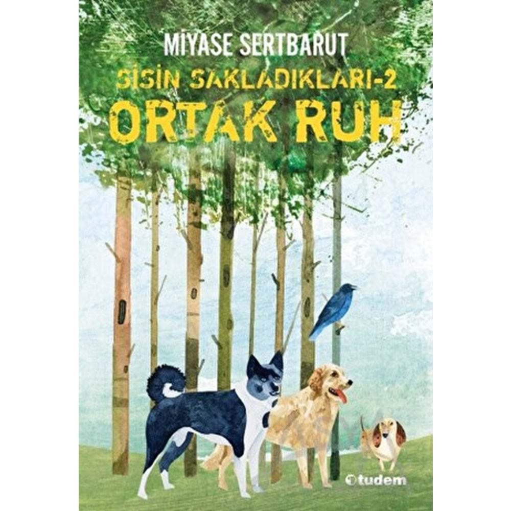 TUDEM | ORTAK RUH