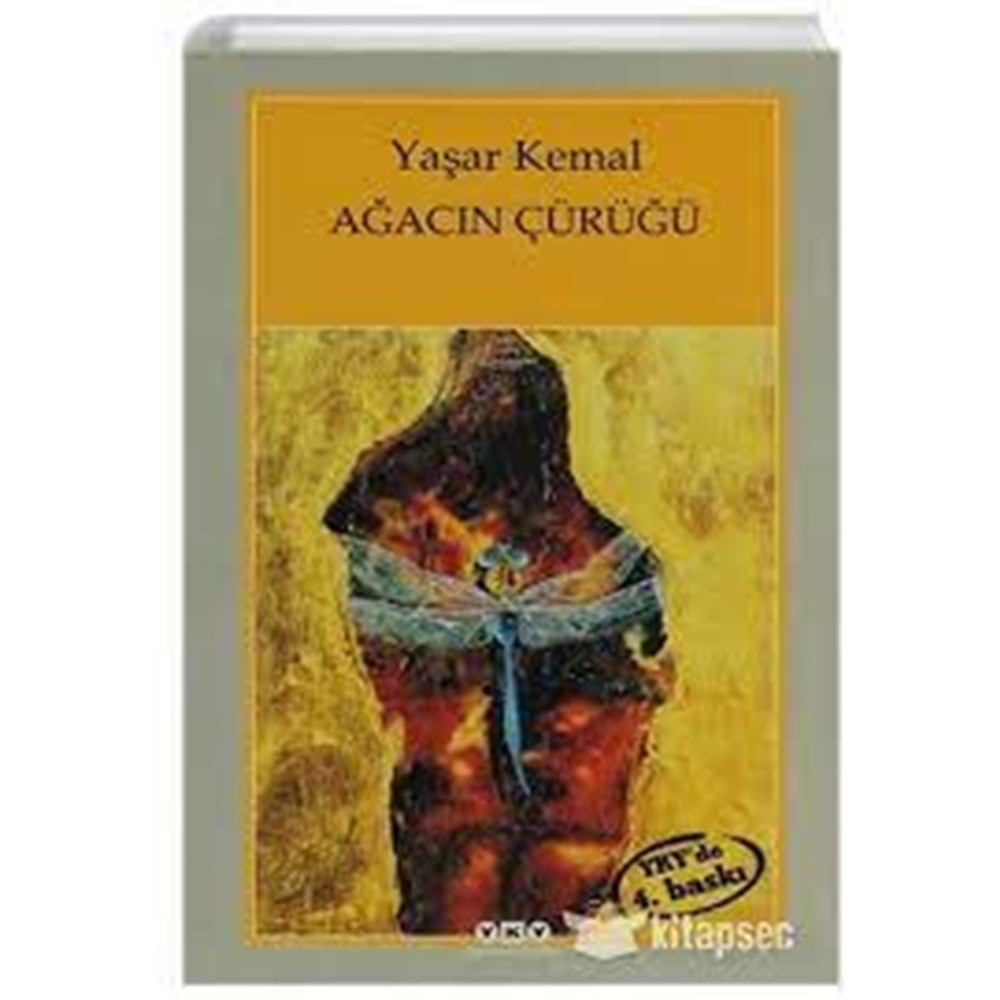 YKS | AĞACIN ÇÜRÜĞÜ