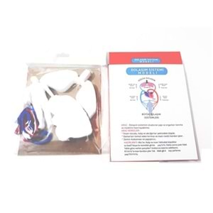 BUKET | DOLAŞIM SİSTEMİ - BKT-8110