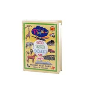 PLAYWOOD | GÖR TANI ÖĞREN 50 ÇEŞİT KART