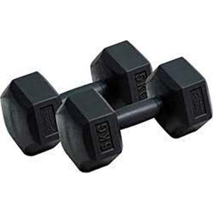 ALTİS | PLASTİK KÖŞELİ DAMBIL SET 2x5 KG DS-80