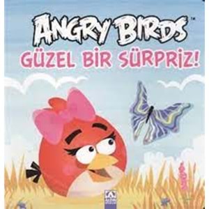 ALTINKİTAP | ANGRY BIRDS - GÜZEL BİR SÜRPİRZ