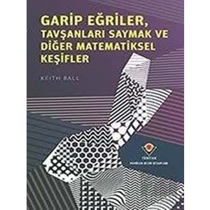 TÜBİTAK | GARIP EĞRILER MATEMATIKSEL KEŞIFLER