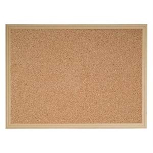 İNTERPANO | 60*90 AHŞAP ÇERÇEVELİ D. MONTE MANTAR PANO