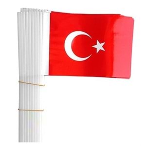 BUKET | SOPALI KAĞIT BAYRAK 100'LÜ (TÜRK -ATA) 12x22,5 - BKT-301