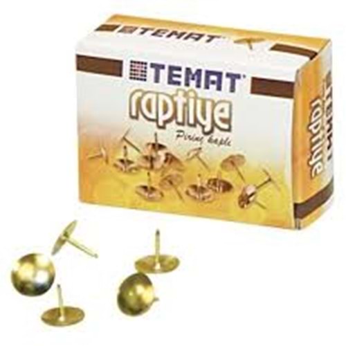TEMAT | PİRİNÇ KAPLI RAPTİYE