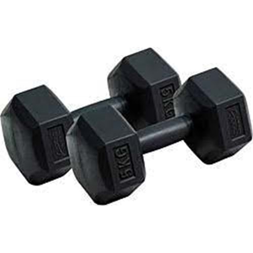 ALTİS | PLASTİK KÖŞELİ DAMBIL SET 2x5 KG DS-80