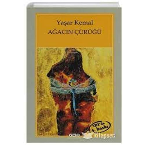 YKS | AĞACIN ÇÜRÜĞÜ
