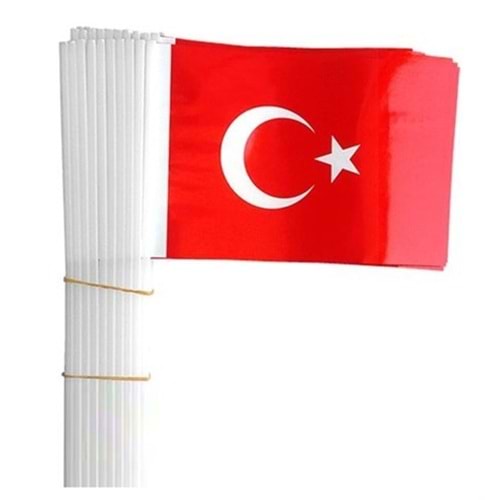 BUKET | SOPALI KAĞIT BAYRAK 100'LÜ (TÜRK -ATA) 12x22,5 - BKT-301